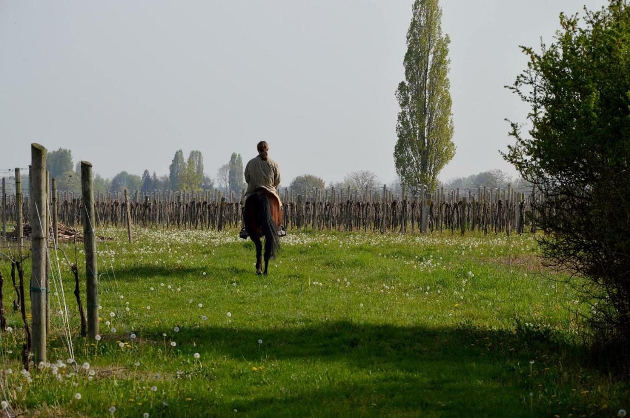 Societa Agricola La Staccionata Villa Staranzano Luaran gambar